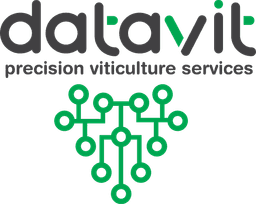 Datavit Logo