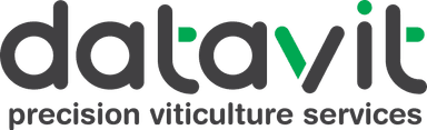 Datavit Logo