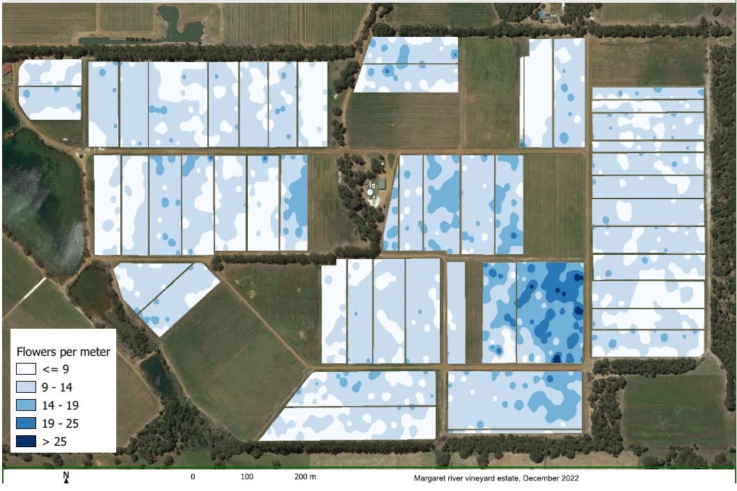 Yield App: Digitizing Your Vineyard with Precision